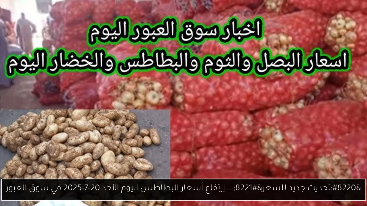 “تحديث جديد للسعر” .. إرتفاع أسعار البطاطس اليوم الأحد 20-7-2025 في سوق العبور