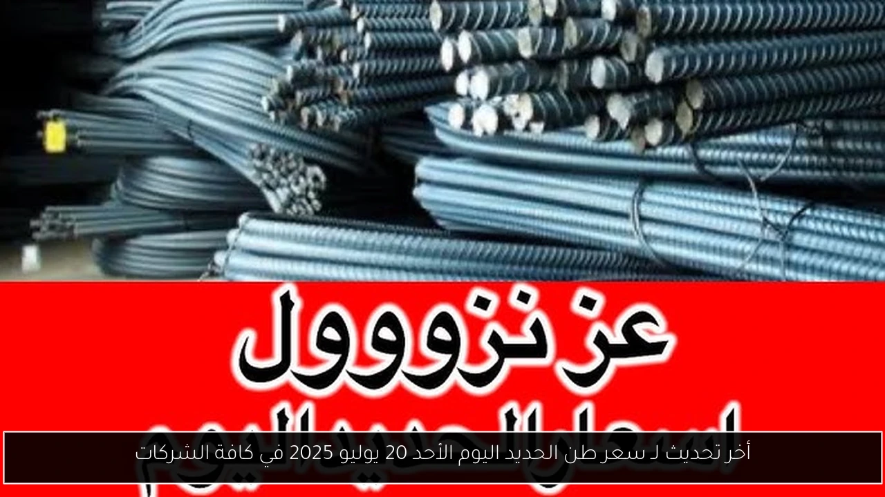 أخر تحديث لـ سعر طن الحديد اليوم الأحد 20 يوليو 2025 في كافة الشركات