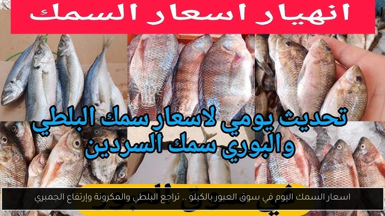 اسعار السمك اليوم في سوق العبور بالكيلو .. تراجع البلطي والمكرونة وإرتفاع الجمبري