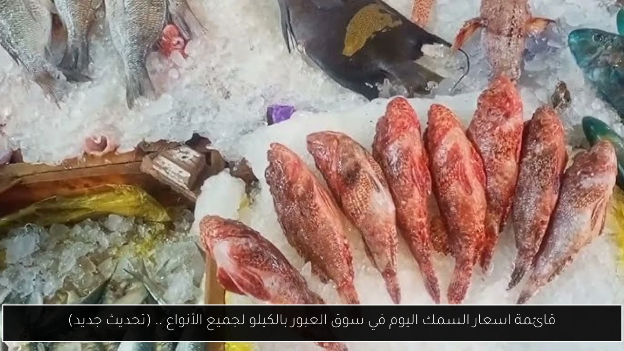 قائمة اسعار السمك اليوم في سوق العبور بالكيلو لجميع الأنواع .. (تحديث جديد)