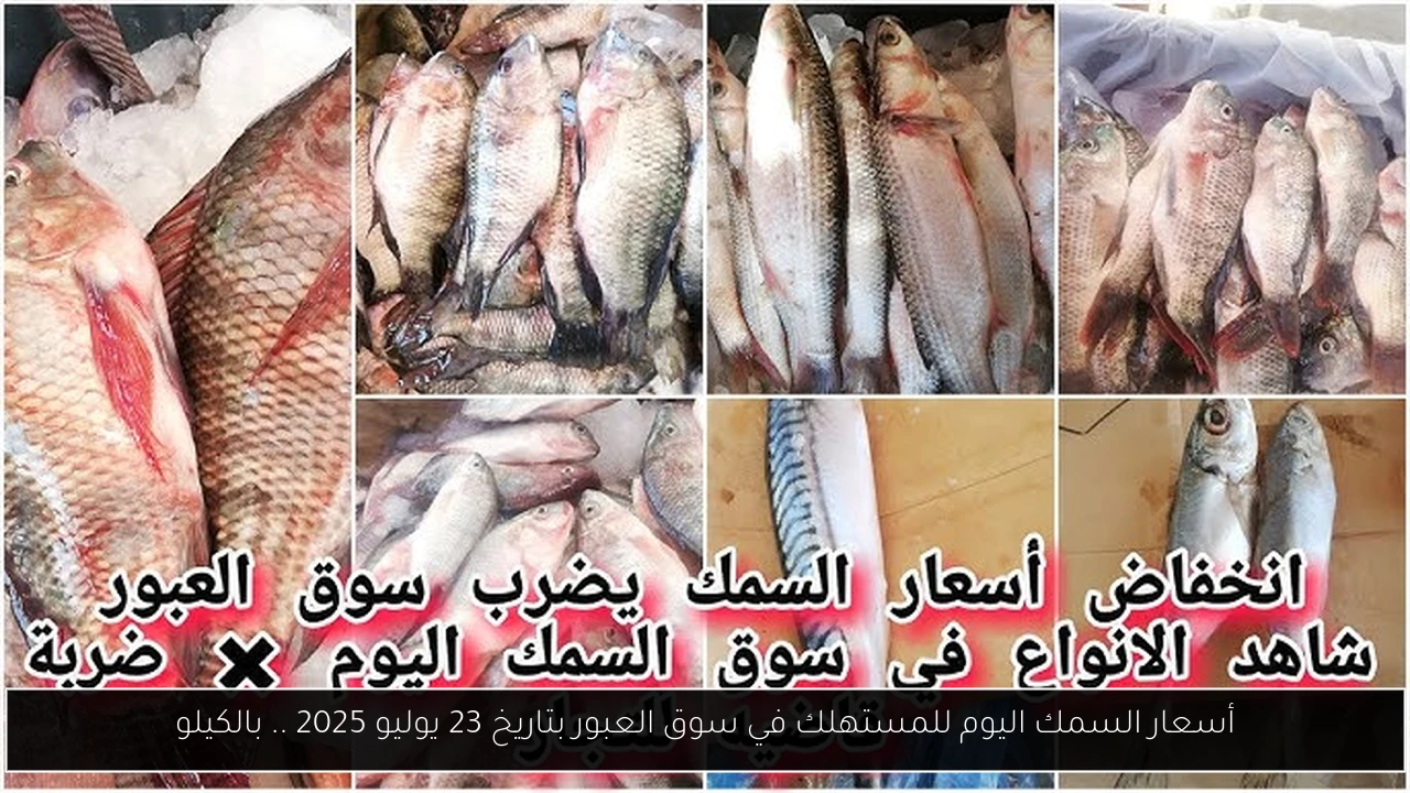 أسعار السمك اليوم للمستهلك في سوق العبور بتاريخ 23 يوليو 2025 .. بالكيلو