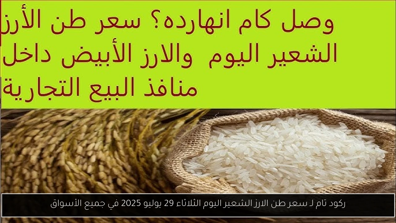 ركود تام لـ سعر طن الارز الشعير اليوم الثلاثاء 29 يوليو 2025 في جميع الأسواق