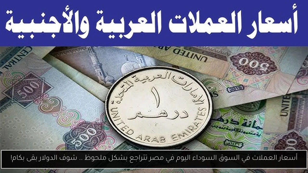 أسعار العملات في السوق السوداء اليوم في مصر تتراجع بشكل ملحوظ .. شوف الدولار بقى بكام!