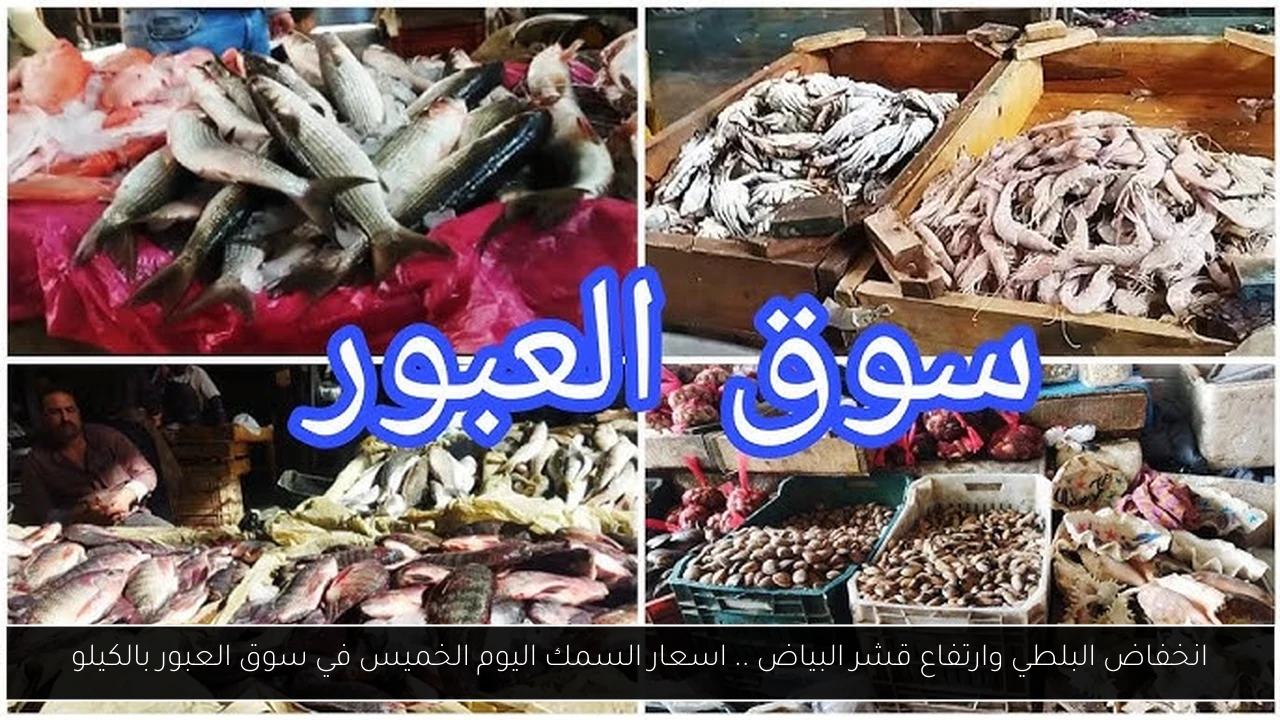 انخفاض البلطي وارتفاع قشر البياض .. اسعار السمك اليوم الخميس في سوق العبور بالكيلو