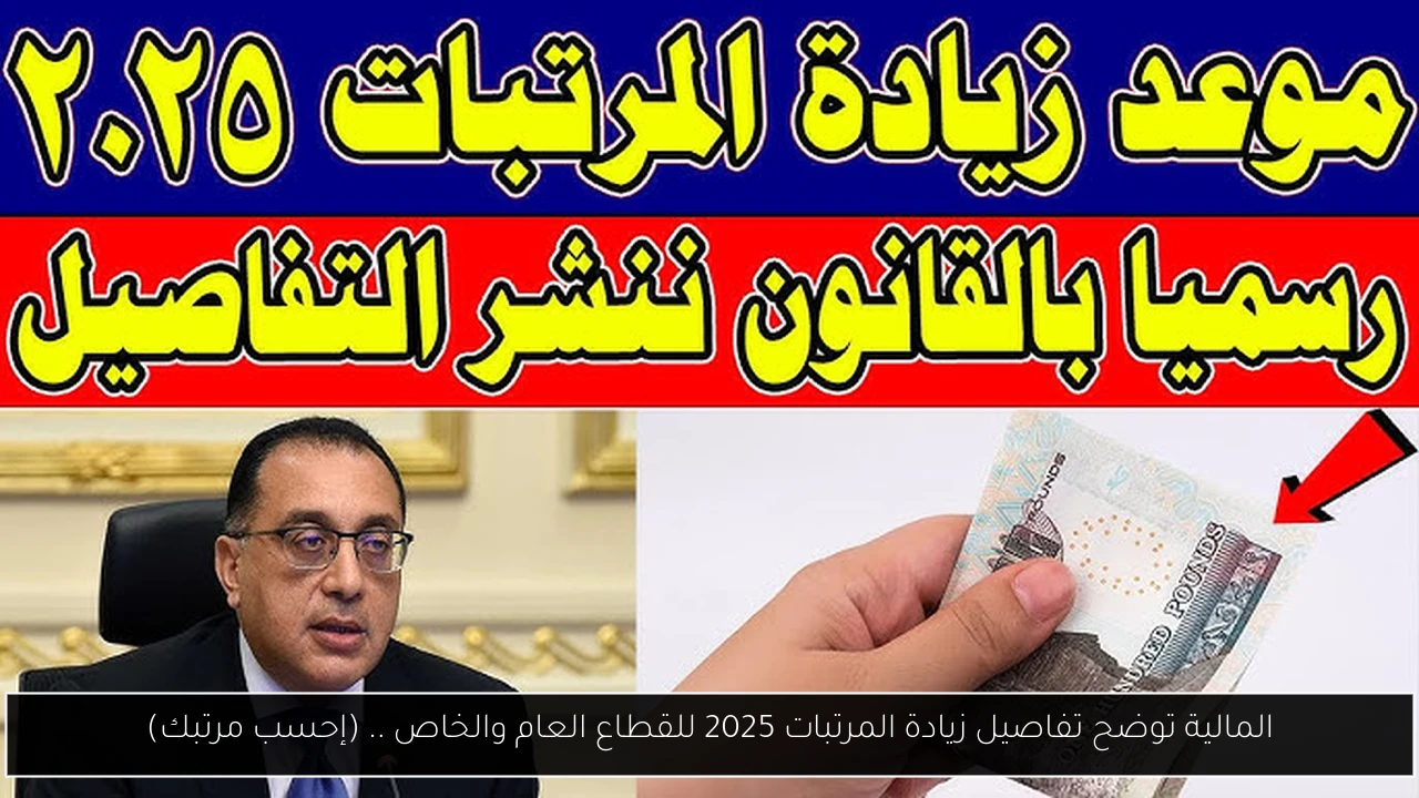 المالية توضح تفاصيل زيادة المرتبات 2025 للقطاع العام والخاص .. (إحسب مرتبك)
