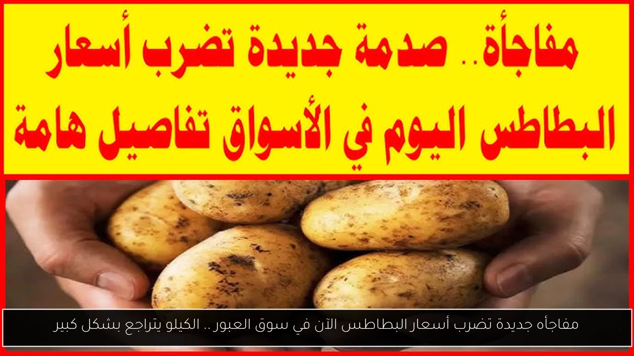 مفاجأه جديدة تضرب أسعار البطاطس الآن في سوق العبور .. الكيلو يتراجع بشكل كبير