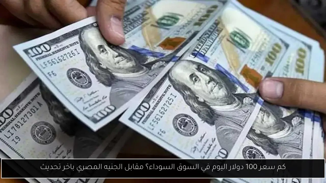 “الدولار الآن مباشر” كم سعر 100 دولار اليوم في السوق السوداء؟ مقابل الجنيه المصري باخر تحديث