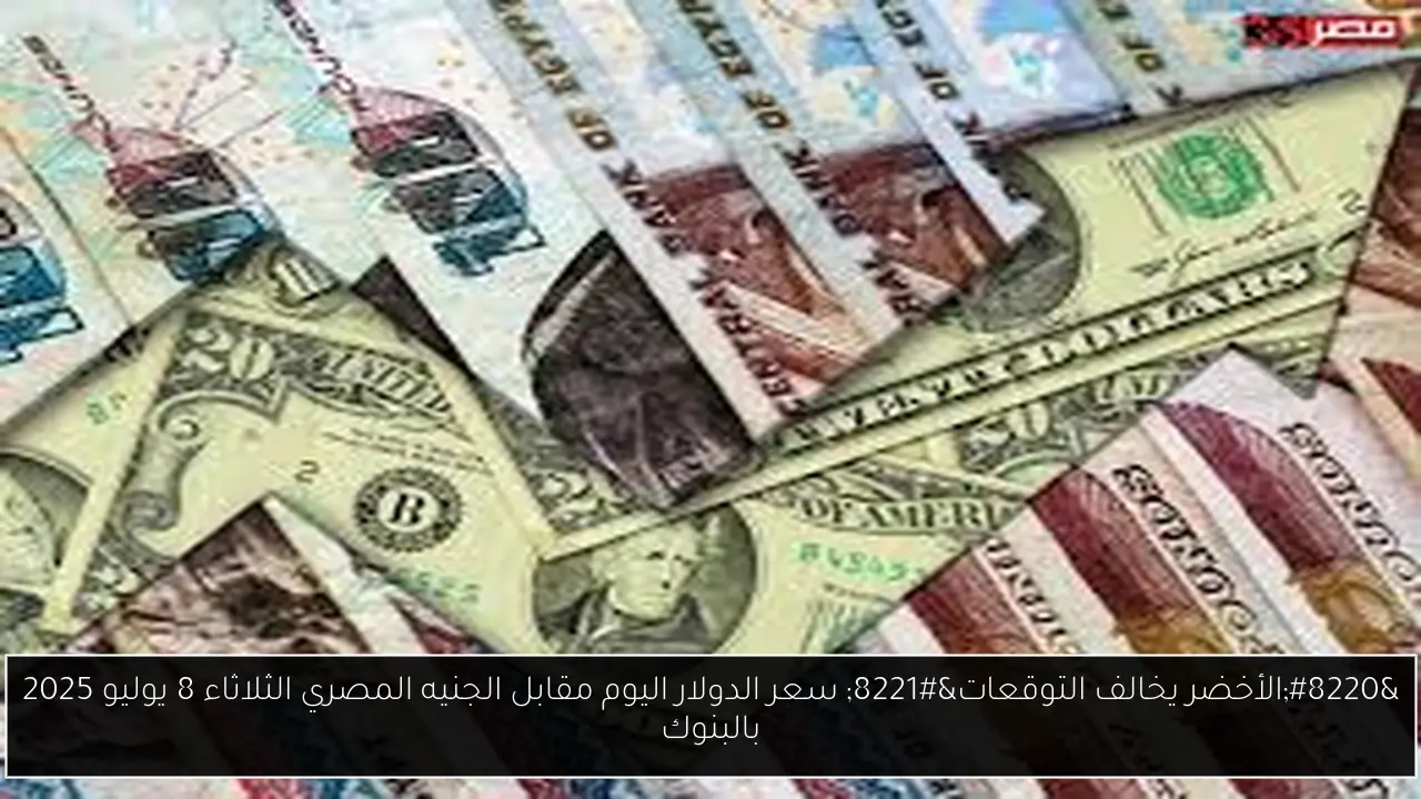 “الأخضر يخالف التوقعات” سعر الدولار اليوم مقابل الجنيه المصري الثلاثاء 8 يوليو 2025 بالبنوك