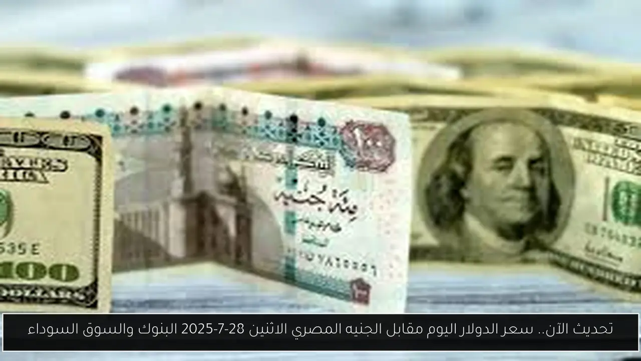 تحديث الآن.. سعر الدولار اليوم مقابل الجنيه المصري الاثنين 28-7-2025 البنوك والسوق السوداء