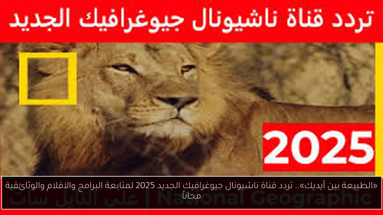 «الطبيعة بين أيديك».. تردد قناة ناشيونال جيوغرافيك الجديد 2025 لمتابعة البرامج والافلام والوثائقية مجاناً