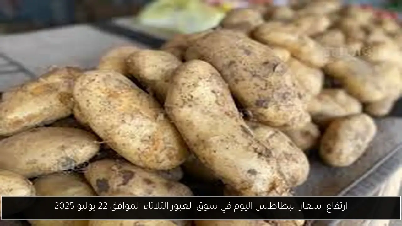 ارتفاع اسعار البطاطس اليوم في سوق العبور الثلاثاء الموافق 22 يوليو 2025