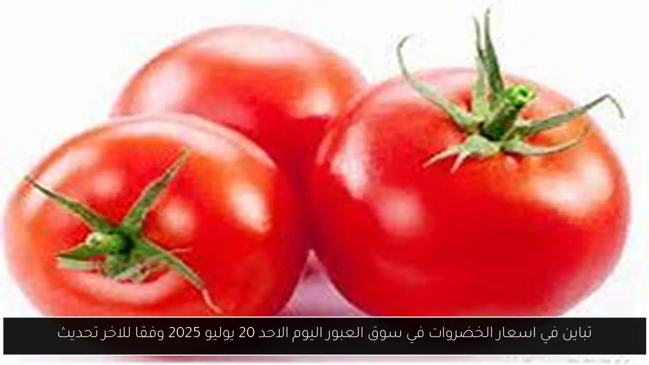 تباين في اسعار الخضروات في سوق العبور اليوم الاحد 20 يوليو 2025 وفقا للاخر تحديث