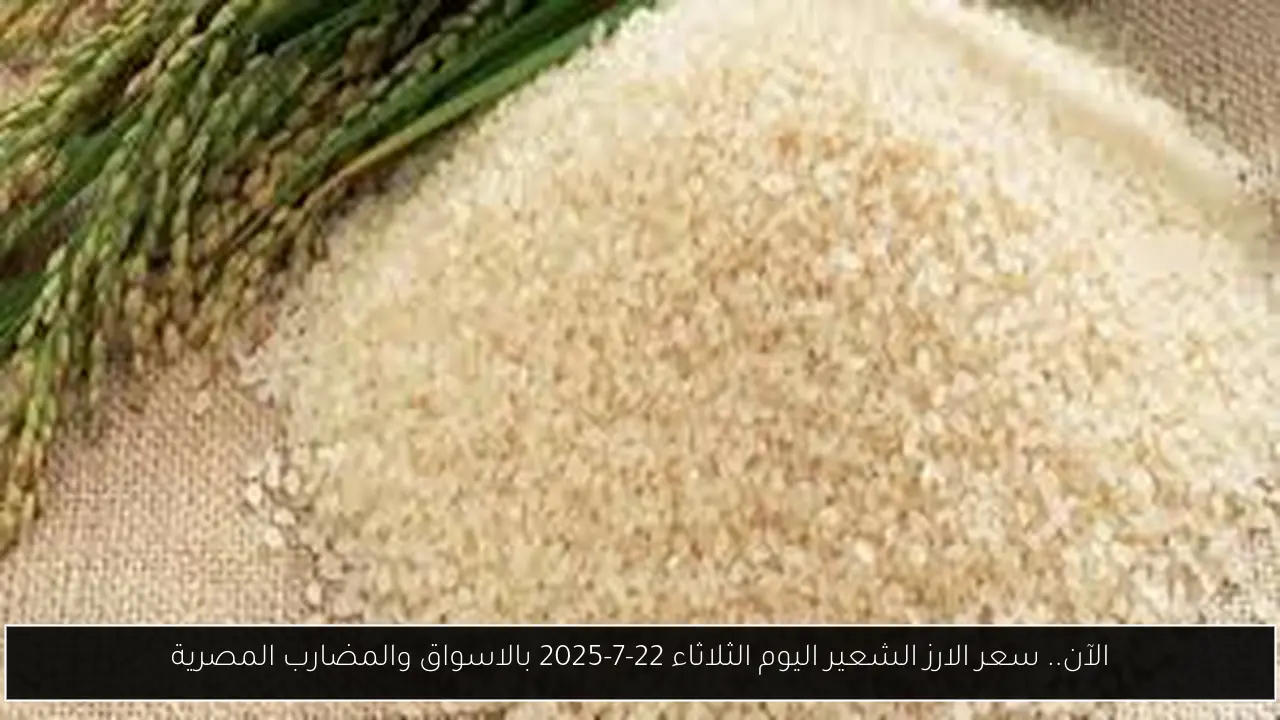 الآن.. سعر الارز الشعير اليوم الثلاثاء 22-7-2025 بالاسواق والمضارب المصرية