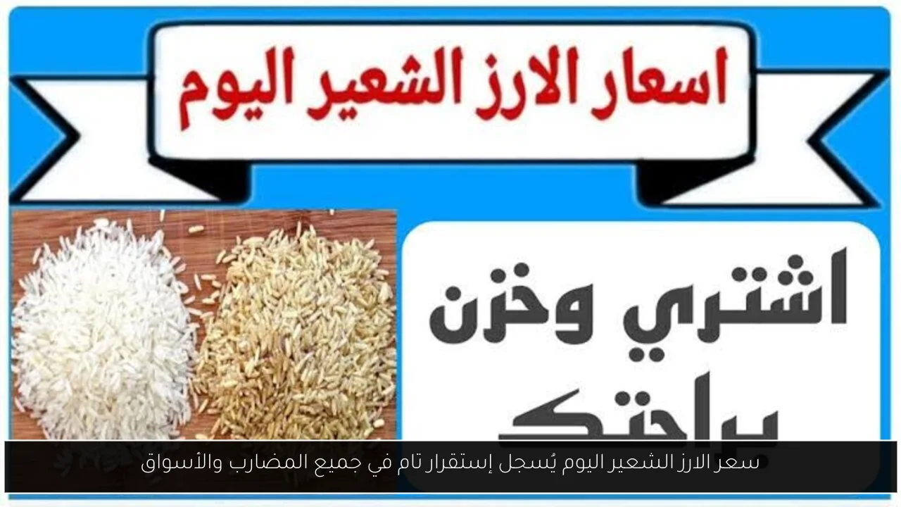 سعر الارز الشعير اليوم يُسجل إستقرار تام في جميع المضارب والأسواق