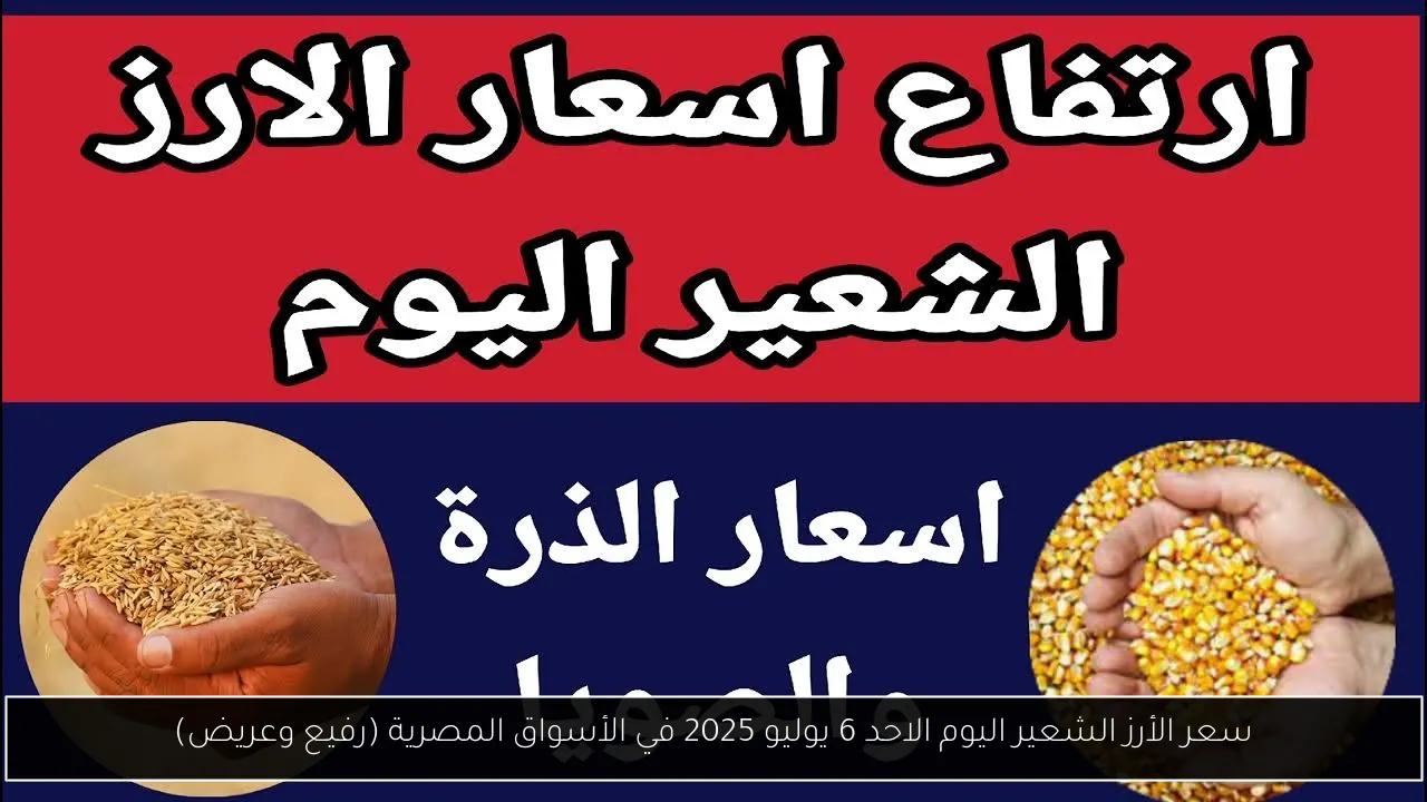 سعر الأرز الشعير اليوم الاحد 6 يوليو 2025 في الأسواق المصرية (رفيع وعريض)
