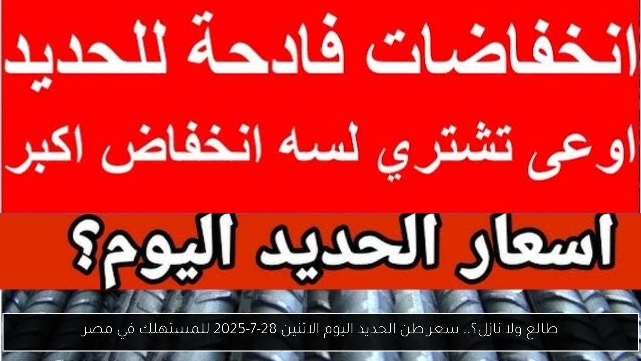 طالع ولا نازل؟.. سعر طن الحديد اليوم الاثنين 28-7-2025 للمستهلك في مصر