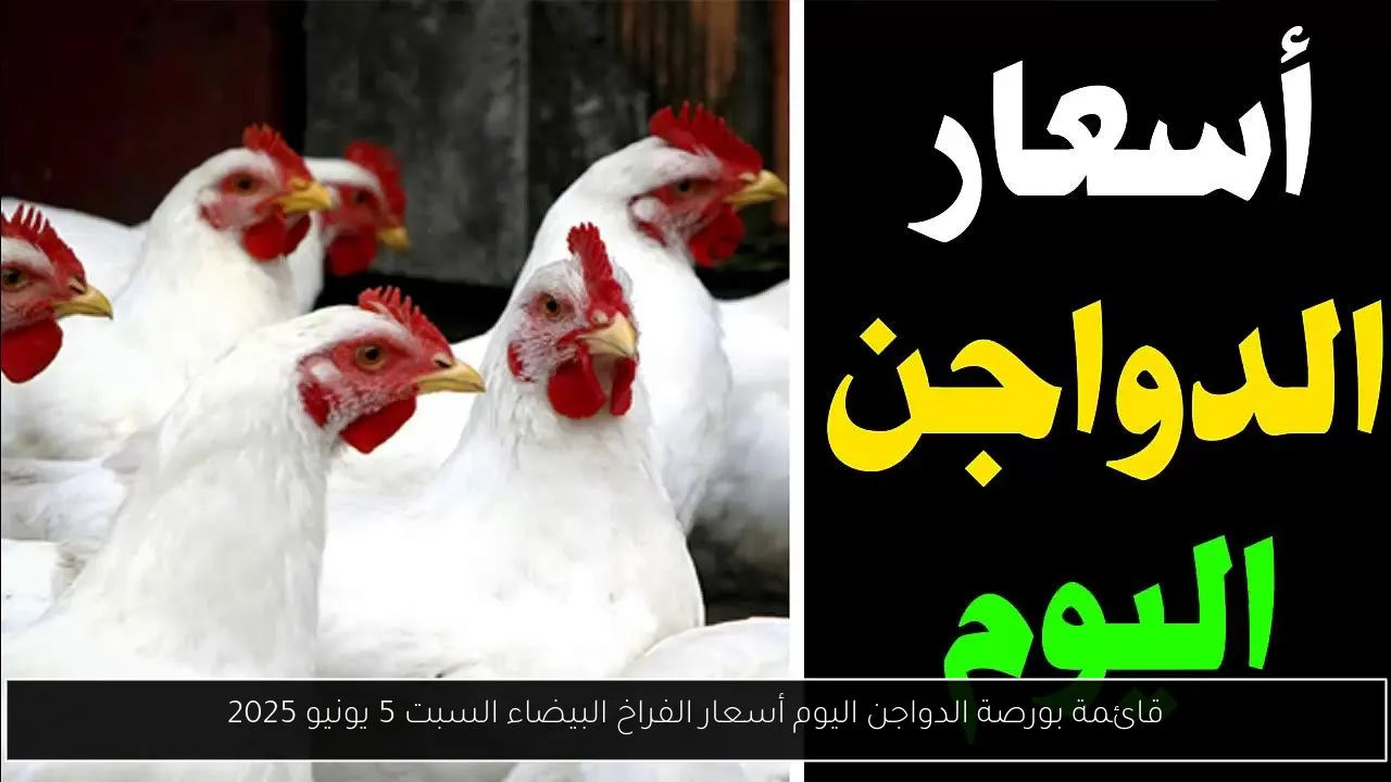 قائمة بورصة الدواجن اليوم أسعار الفراخ البيضاء السبت 5 يونيو 2025