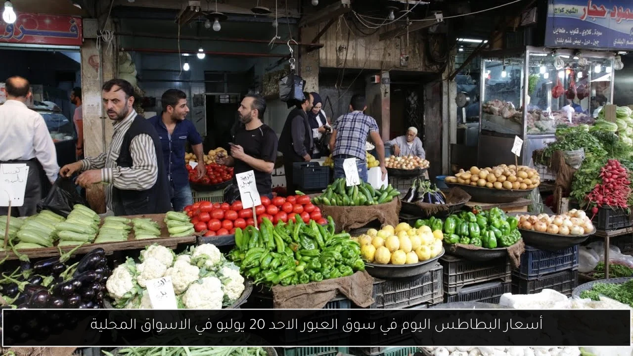 أسعار البطاطس اليوم في سوق العبور الاحد 20 يوليو في الاسواق المحلية