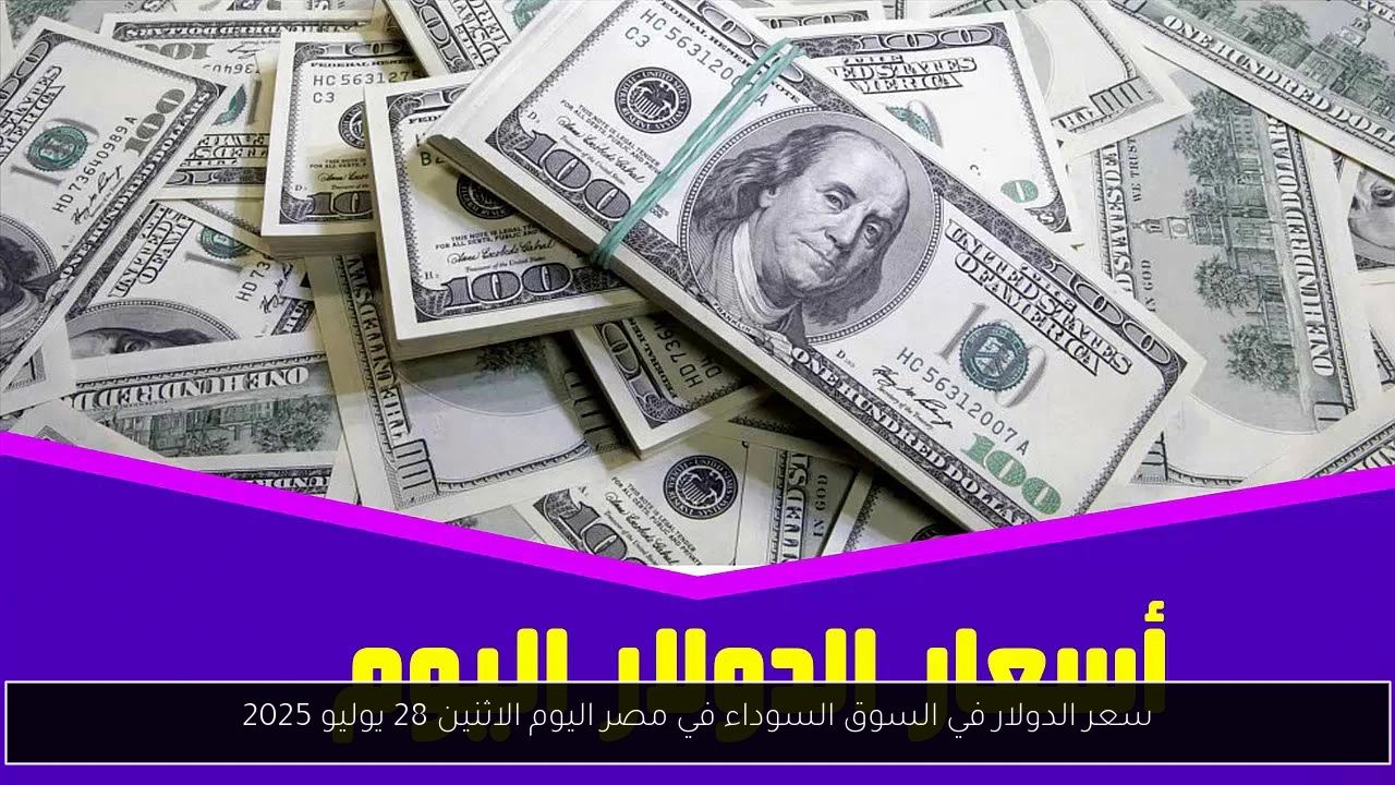سعر الدولار في السوق السوداء في مصر اليوم الاثنين 28 يوليو 2025