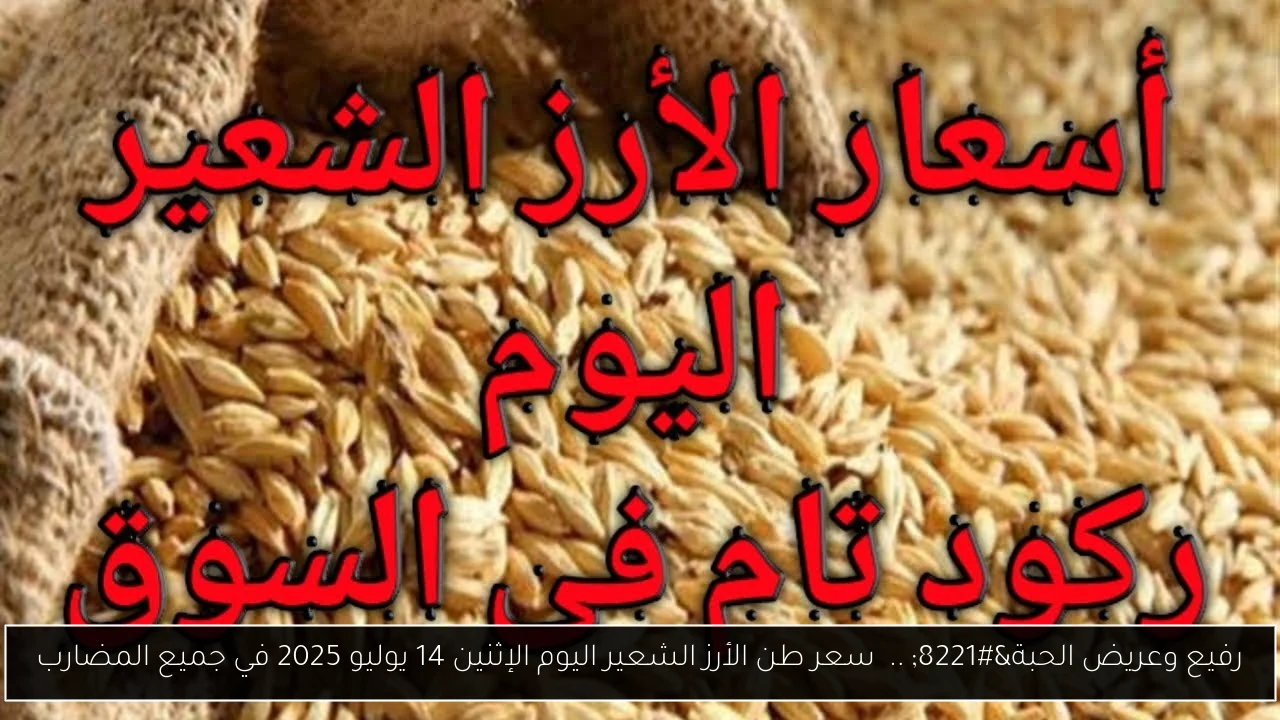 رفيع وعريض الحبة” ..  سعر طن الأرز الشعير اليوم الإثنين 14 يوليو 2025 في جميع المضارب