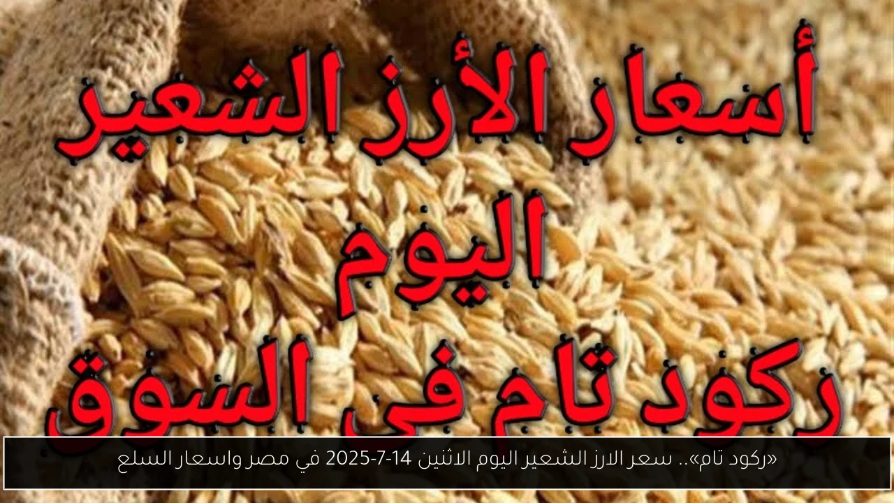 «ركود تام».. سعر الارز الشعير اليوم الاثنين 14-7-2025 في مصر واسعار السلع
