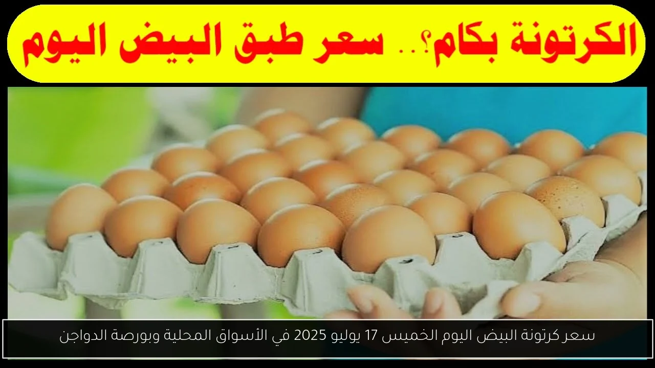 سعر كرتونة البيض اليوم الخميس 17 يوليو 2025 في الأسواق المحلية وبورصة الدواجن