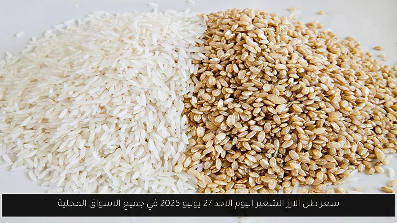 سعر طن الارز الشعير اليوم الاحد 27 يوليو 2025 في جميع الاسواق المحلية