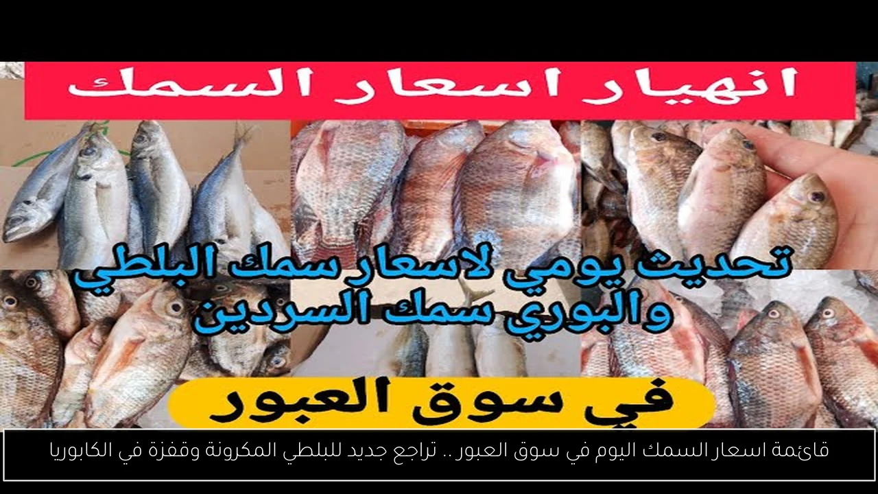قائمة اسعار السمك اليوم في سوق العبور .. تراجع جديد للبلطي المكرونة وقفزة في الكابوريا