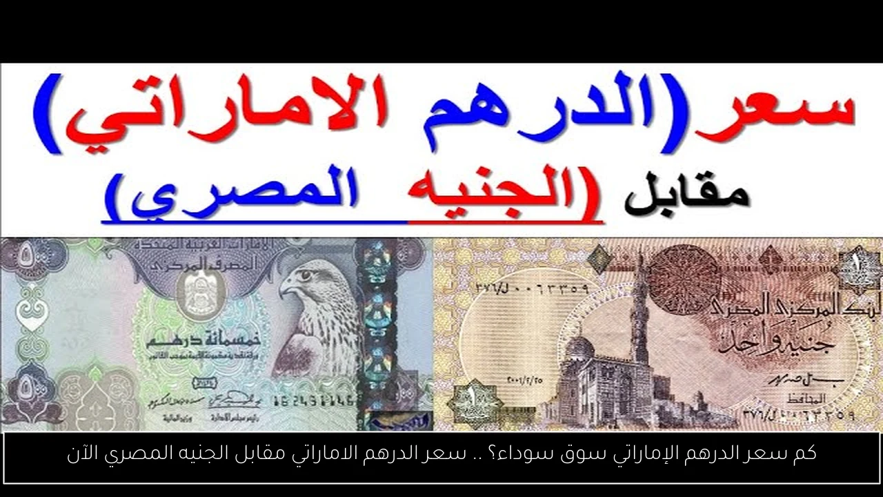 كم سعر الدرهم الإماراتي سوق سوداء؟ .. سعر الدرهم الاماراتي مقابل الجنيه المصري الآن
