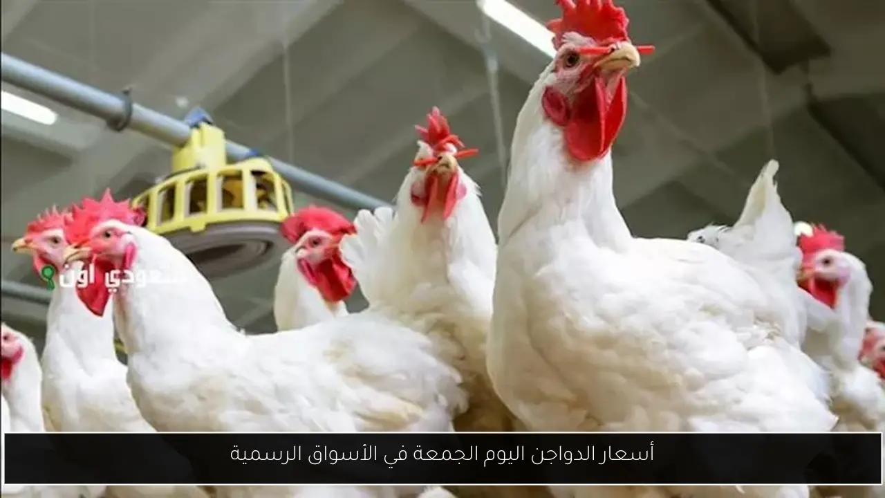أسعار الدواجن اليوم الجمعة في الأسواق الرسمية