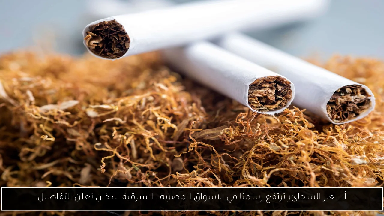 أسعار السجائر ترتفع رسميًا في الأسواق المصرية.. الشرقية للدخان تعلن التفاصيل