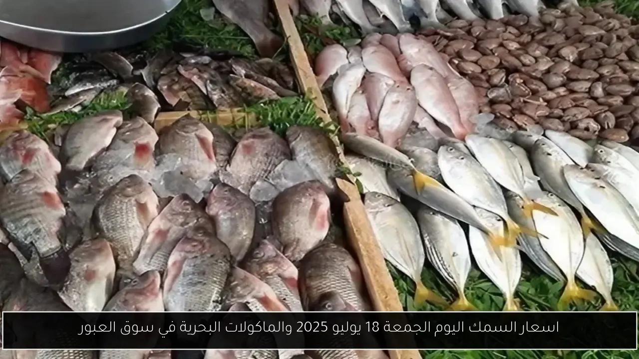 اسعار السمك اليوم الجمعة 18 يوليو 2025 والماكولات البحرية في سوق العبور