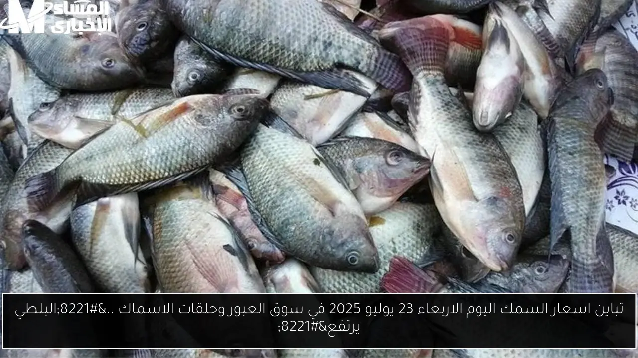تباين اسعار السمك اليوم الاربعاء 23 يوليو 2025 في سوق العبور وحلقات الاسماك ..”البلطي يرتفع”