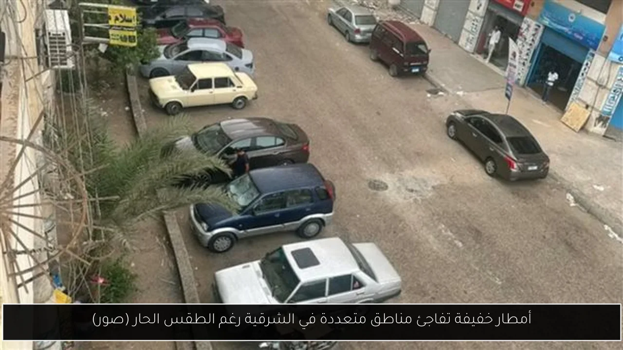 أمطار خفيفة تفاجئ مناطق متعددة في الشرقية رغم الطقس الحار (صور)
