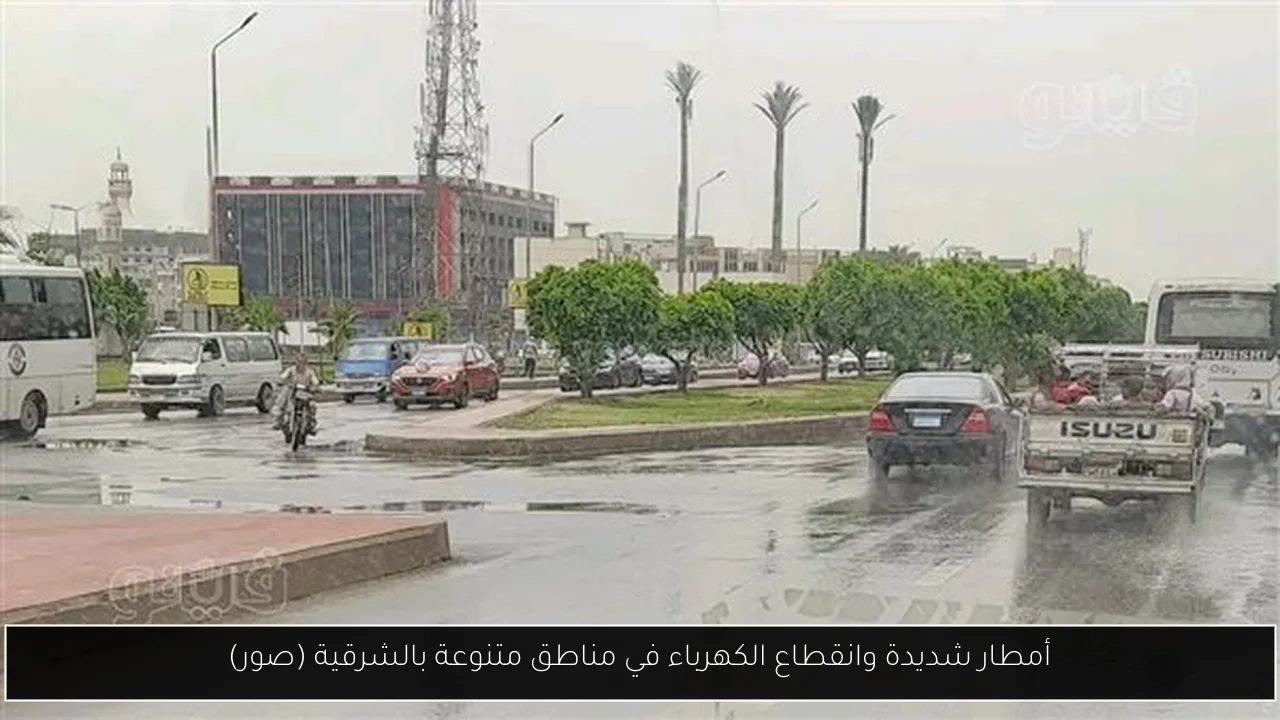 أمطار شديدة وانقطاع الكهرباء في مناطق متنوعة بالشرقية (صور)