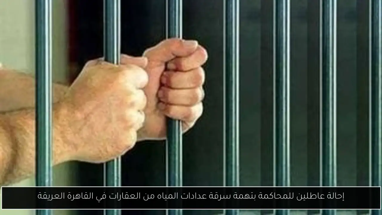 إحالة عاطلين للمحاكمة بتهمة سرقة عدادات المياه من العقارات في القاهرة العريقة