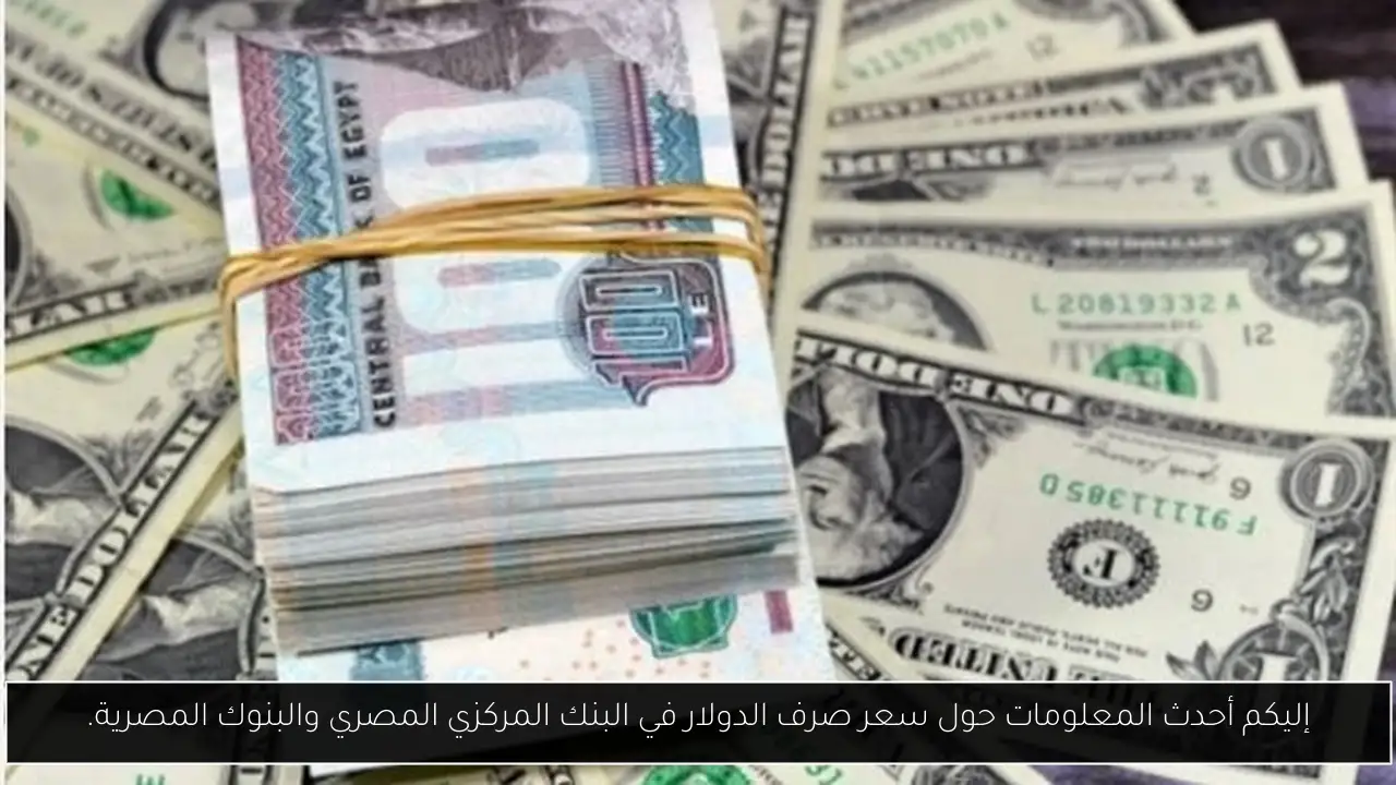 إليكم أحدث المعلومات حول سعر صرف الدولار في البنك المركزي المصري والبنوك المصرية.