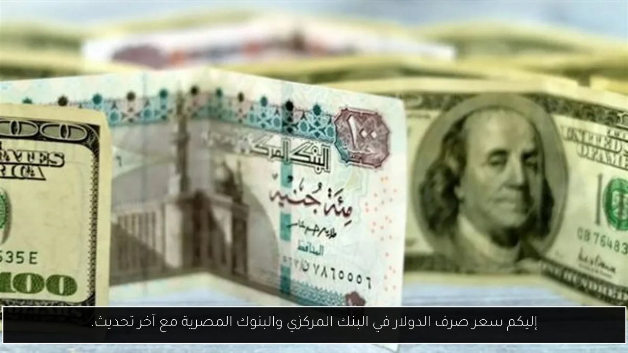 إليكم سعر صرف الدولار في البنك المركزي والبنوك المصرية مع آخر تحديث.