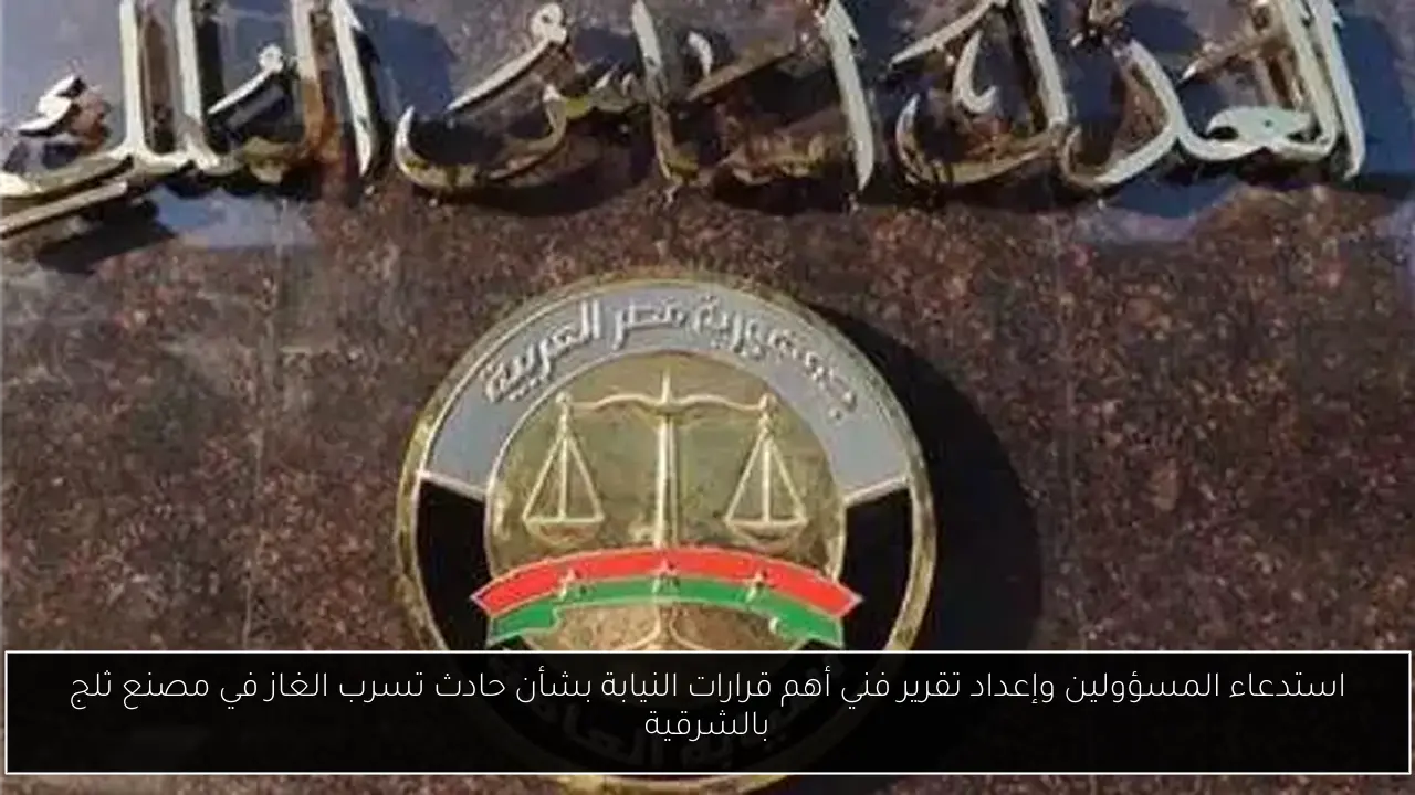 استدعاء المسؤولين وإعداد تقرير فني أهم قرارات النيابة بشأن حادث تسرب الغاز في مصنع ثلج بالشرقية