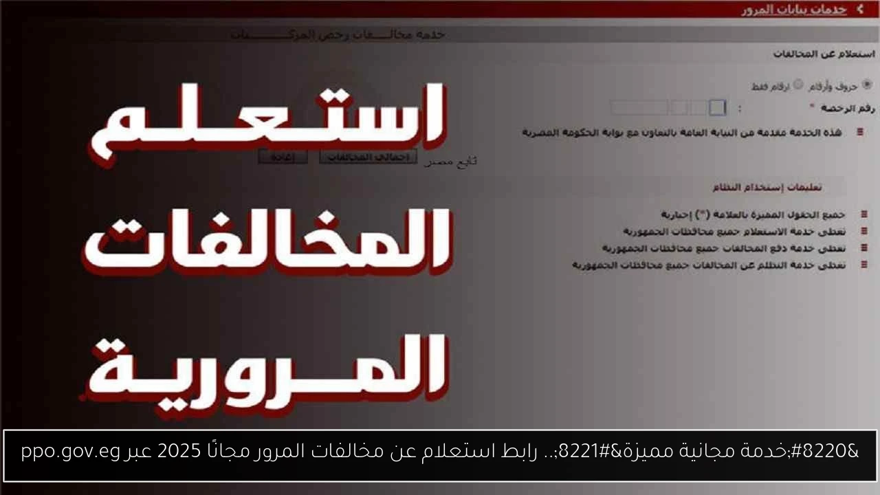 “خدمة مجانية مميزة”.. رابط استعلام عن مخالفات المرور مجانًا 2025 عبر ppo.gov.eg