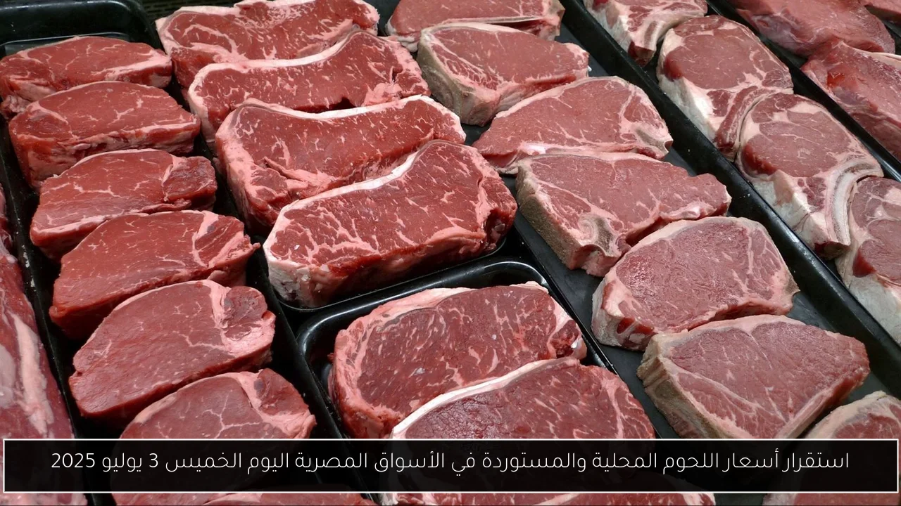 استقرار أسعار اللحوم المحلية والمستوردة في الأسواق المصرية اليوم الخميس 3 يوليو 2025