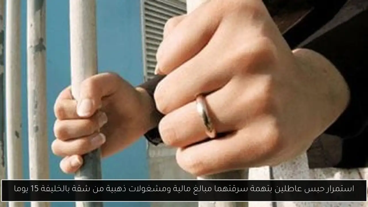 استمرار حبس عاطلين بتهمة سرقتهما مبالغ مالية ومشغولات ذهبية من شقة بالخليفة 15 يوما