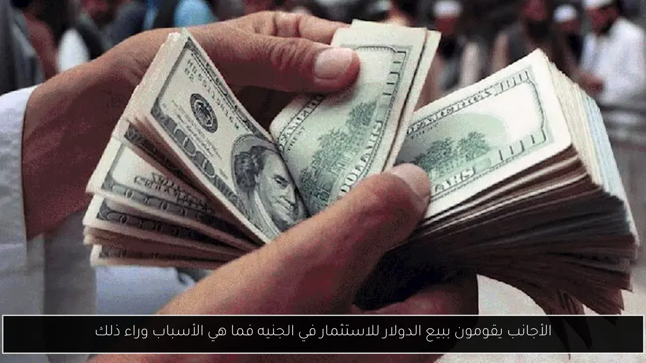الأجانب يقومون ببيع الدولار للاستثمار في الجنيه فما هي الأسباب وراء ذلك