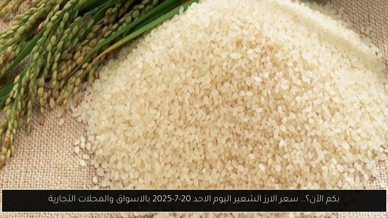 بكم الآن؟.. سعر الارز الشعير اليوم الاحد 20-7-2025 بالاسواق والمحلات التجارية