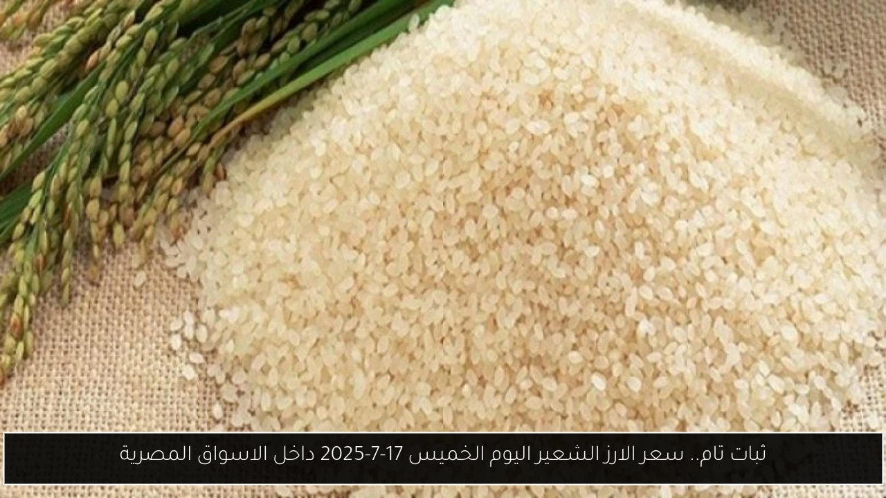 ثبات تام.. سعر الارز الشعير اليوم الخميس 17-7-2025 داخل الاسواق المصرية