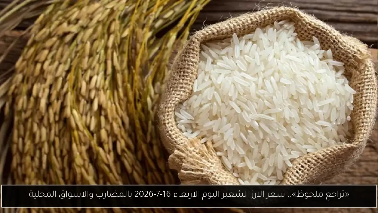«تراجع ملحوظ».. سعر الارز الشعير اليوم الاربعاء 16-7-2026 بالمضارب والاسواق المحلية