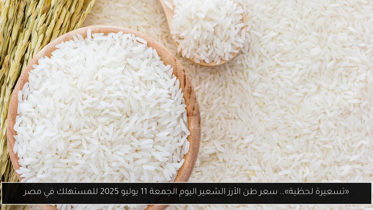«تسعيرة لحظية».. سعر طن الأرز الشعير اليوم الجمعة 11 يوليو 2025 للمستهلك في مصر