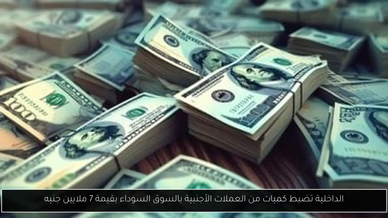 الداخلية تضبط كميات من العملات الأجنبية بالسوق السوداء بقيمة 7 ملايين جنيه