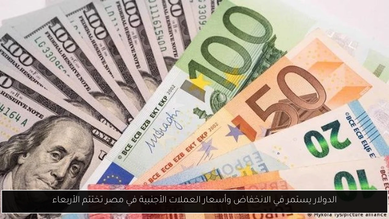 الدولار يستمر في الانخفاض وأسعار العملات الأجنبية في مصر تختتم الأربعاء