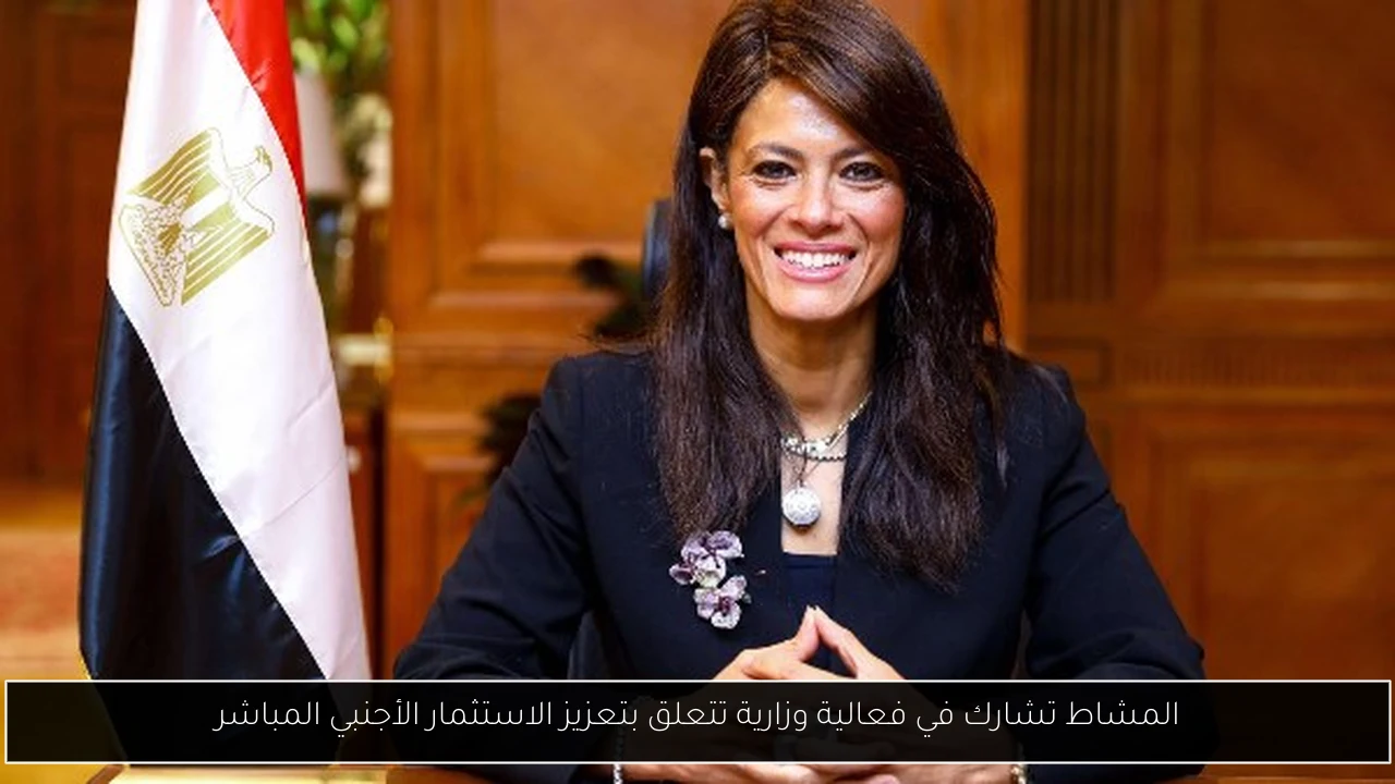 المشاط تشارك في فعالية وزارية تتعلق بتعزيز الاستثمار الأجنبي المباشر